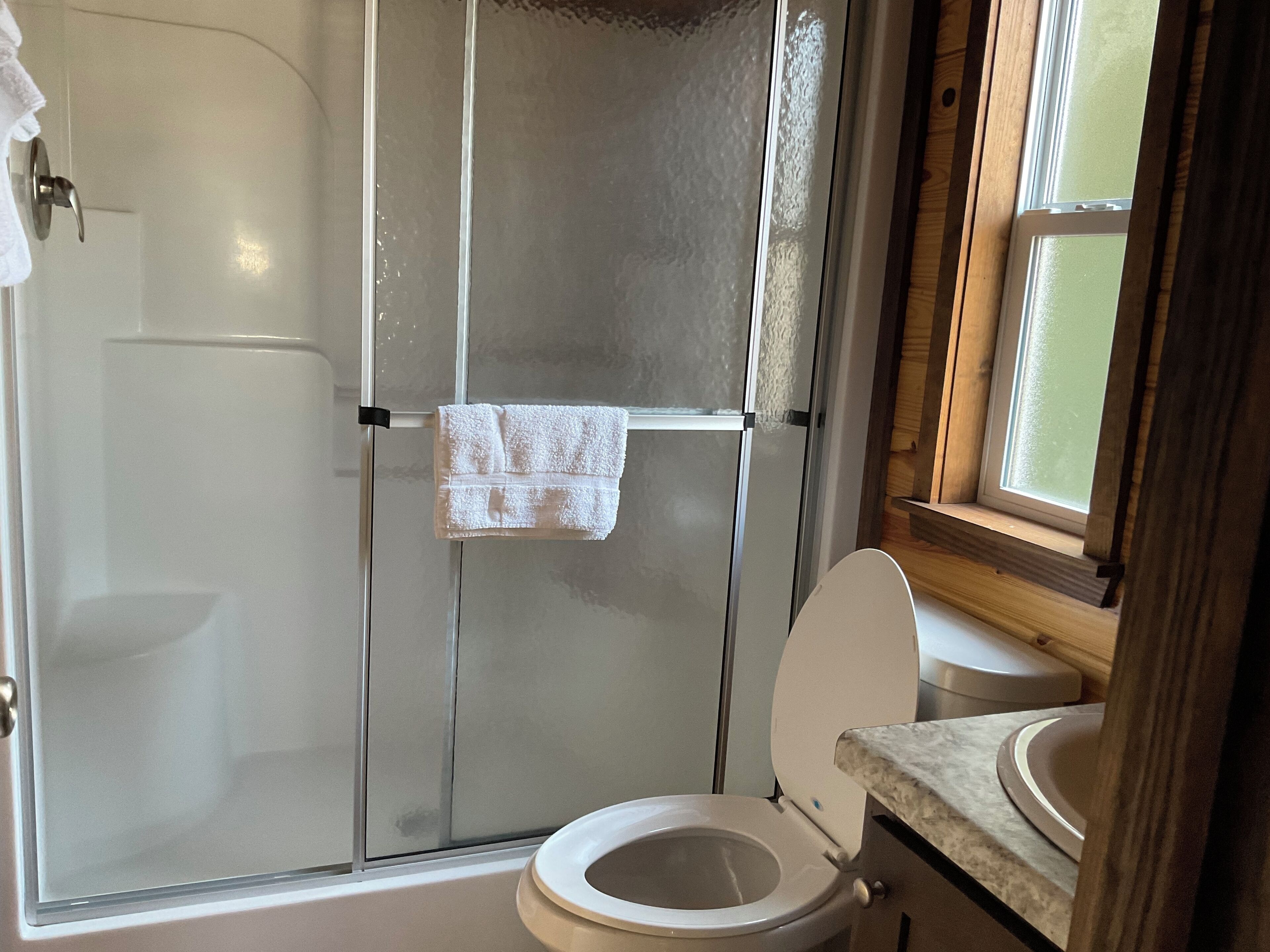 Shower, hair dryer, towels, toilet paper