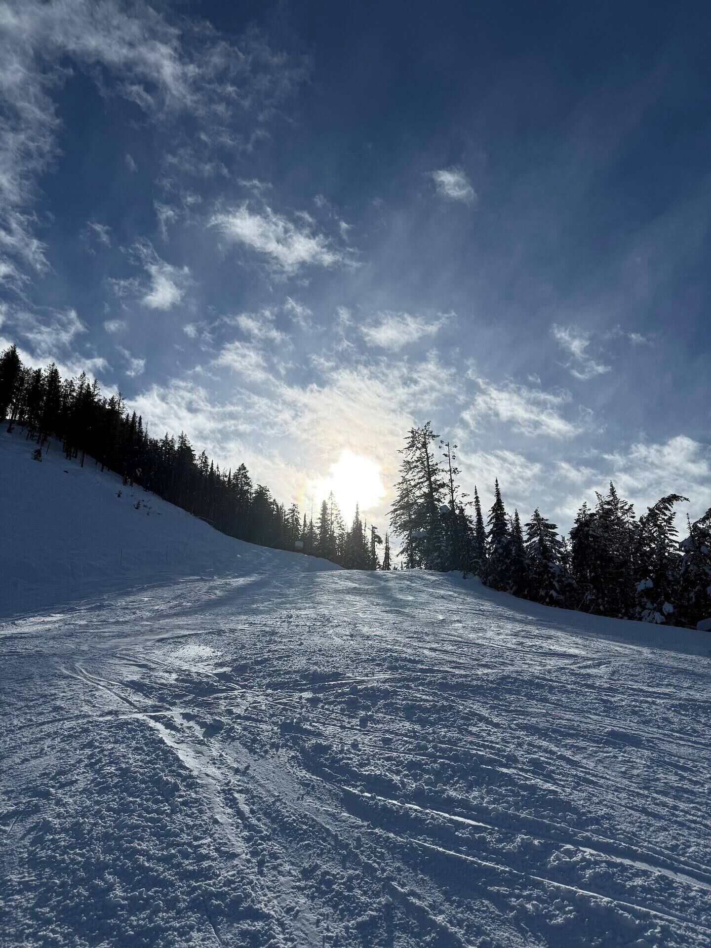 A snowy ski slope with trees and the sun setting in the background.