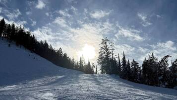 A snowy ski slope with trees and the sun setting in the background.