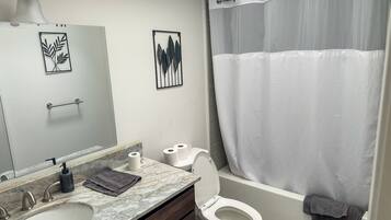 Shower, jetted bath, hair dryer, bidet