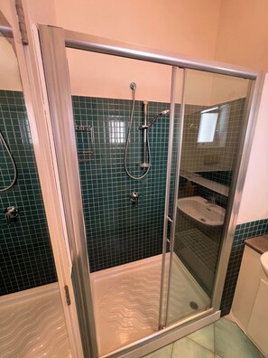 Shower, hair dryer, bidet, towels
