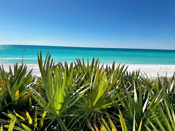 Sun loungers, beach towels