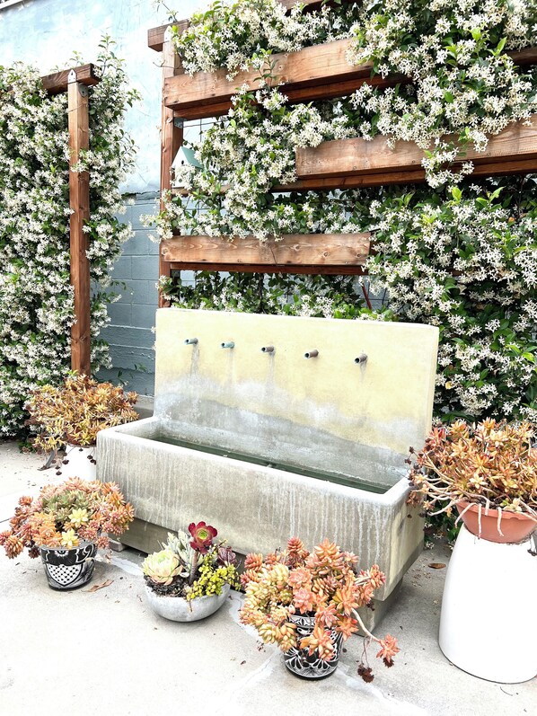 Jardines del alojamiento