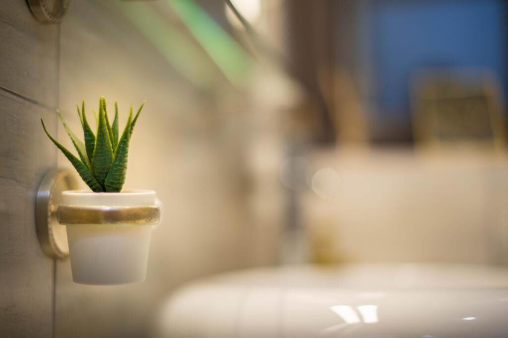 Douche, articles de toilette écologiques, sèche-cheveux