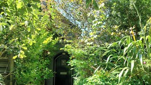 Una escalera de piedra conduce a una puerta de madera oscura, rodeada de abundante vegetación y un muro de piedra.