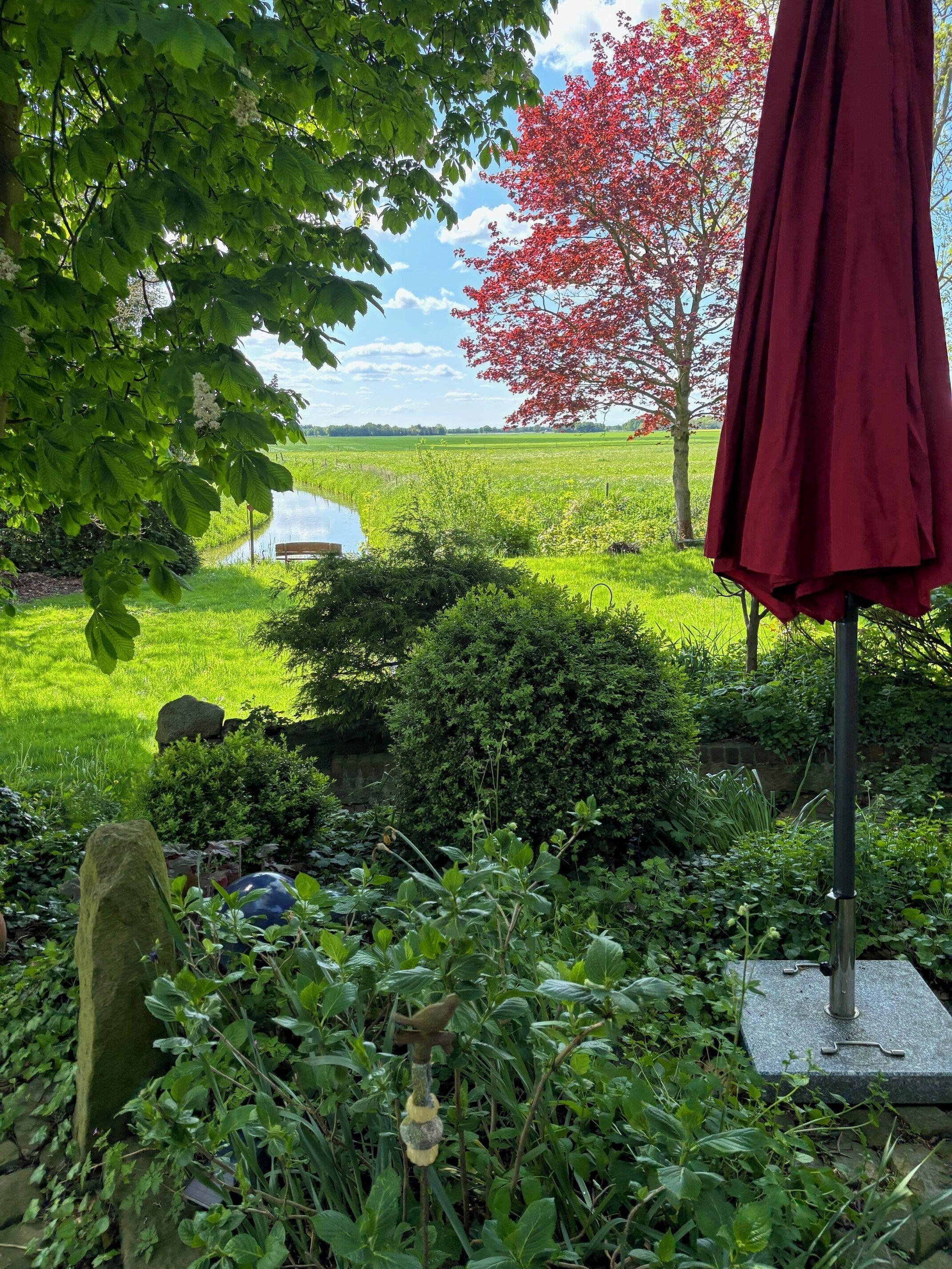 En have med et bassin, en bænk og en rød parasol.