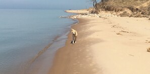 Beach - Lake Michigan Vrbo Escape (Montague)