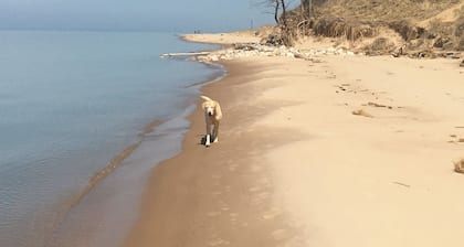 Lake Michigan Vrbo Escape