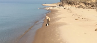 Lake Michigan Vrbo Escape