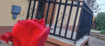 Spacious 2-bedroom  with terrace and WiFi -Vila Viktorija Soko,Sokobanja