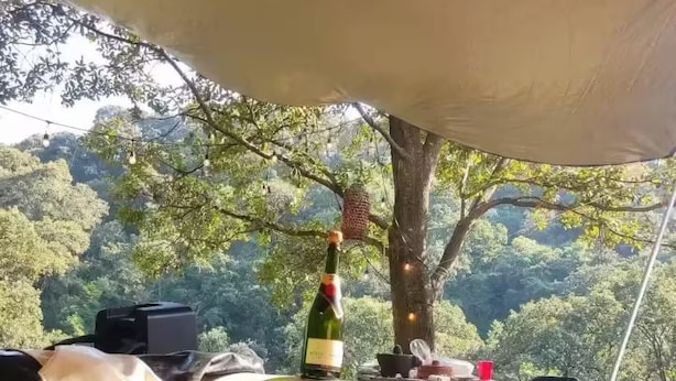 Un jacuzzi gonflable installé sous une tonnelle, avec une bouteille de champagne à proximité, le tout entouré d’arbres.