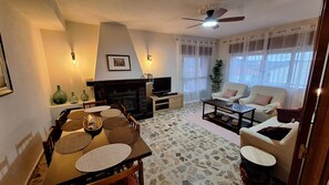 TV, fireplace, books