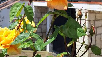 Details aan de buitenkant