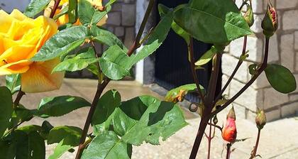 Chalet with fireplace. Ideal for families and friends along with your pet.