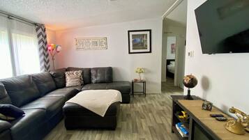 TV connectée, cheminée, lecteur de DVD