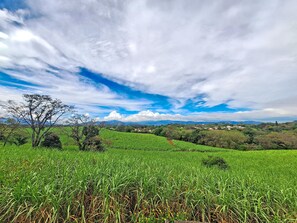 Vista desde la propiedad