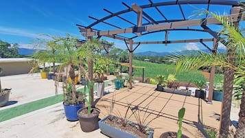 Land view from property