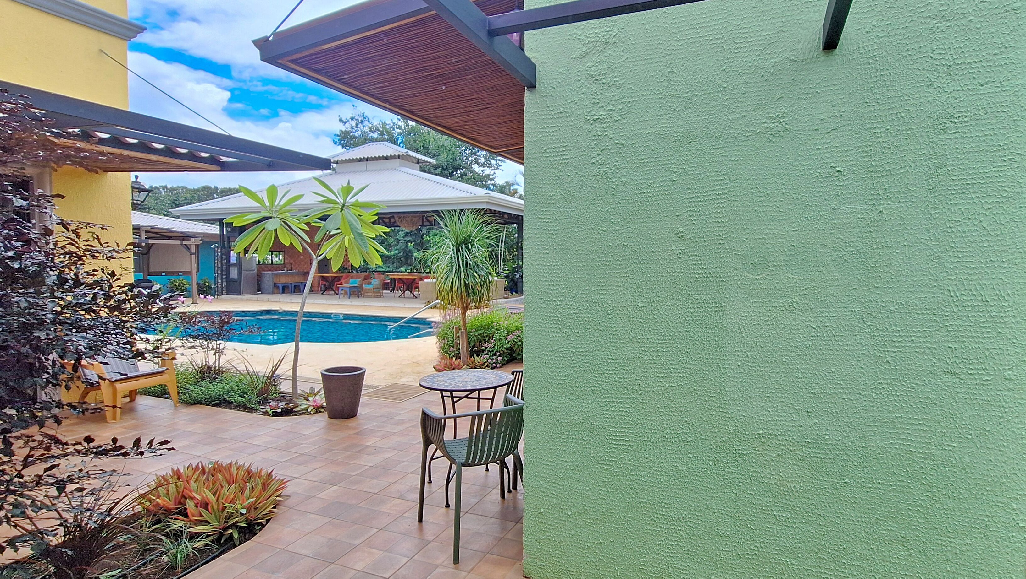 Studio Basic - utsikt mot trädgården | Utsikt från rummet