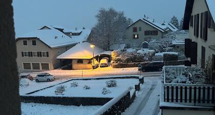 Cosy studio with views of Lake Geneva and Mont Blanc