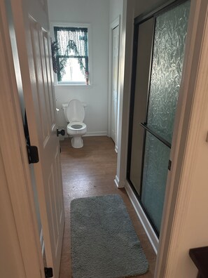 A narrow hallway leading to a bathroom with a toilet, a window, and a shower area.