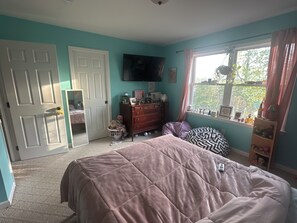 A bedroom with teal walls, a bed with a pink quilt, a dresser, a television on the wall, and a window with curtains.