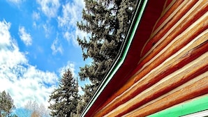 A log cabin with a wooden deck, a green railing, and a potted plant. - Mountain Getaway Cabin steps from Dwtn. W.P.: Hike, Bike, Fish & Enjoy 338570 (Woodland Park)