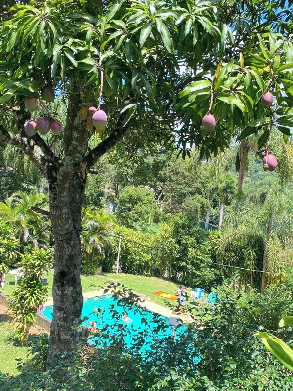 Udendørs pool