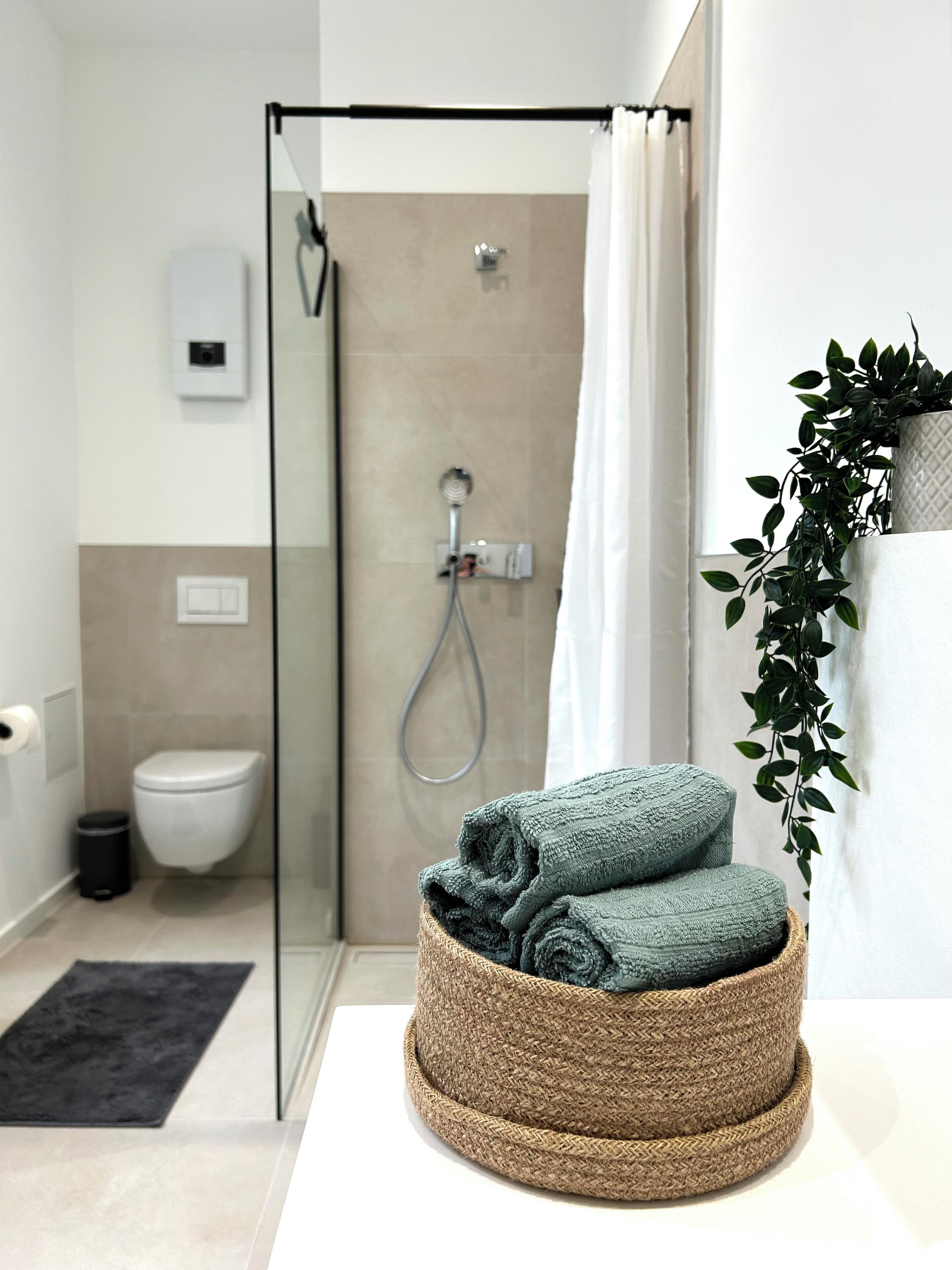 Dusche, Handtücher, Toilettenpapier