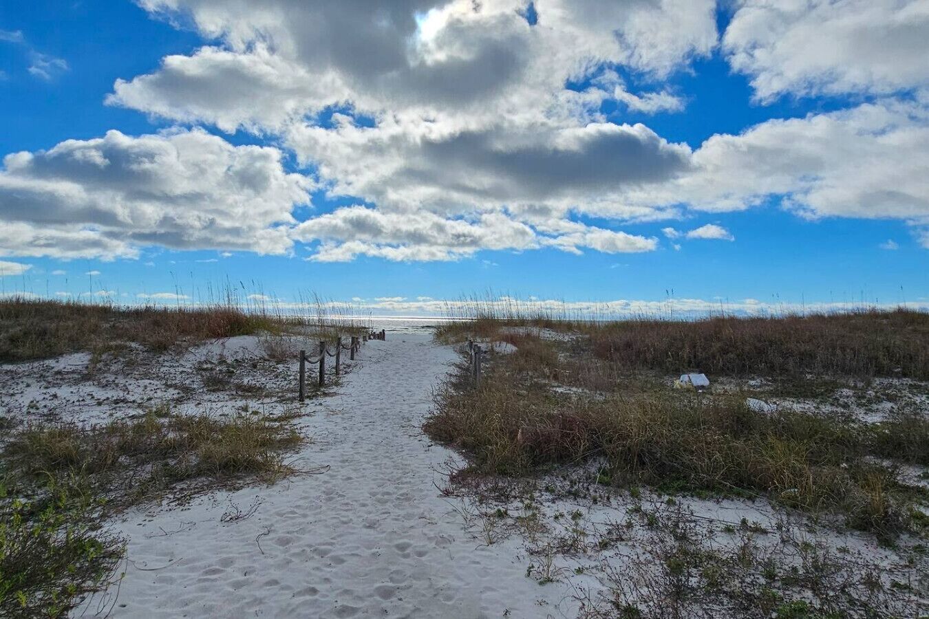 A sandy path leading to a beach with dunes and a clear sky.