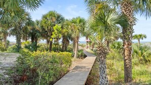 A wooden boardwalk leading through a tropical garden with palm trees and a view of the ocean. - Charming Beachfront Beach House/2BR/Loft/Sleeps 8 (Cape San Blas)