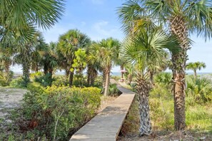 Property grounds - Charming Beachfront Beach House/2BR/Loft/Sleeps 8 (Cape San Blas)