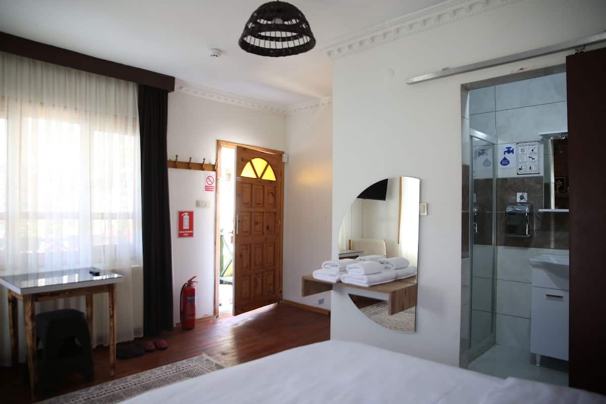 Una habitación de hotel con cama, escritorio, espejo, ducha y puerta que da al exterior.