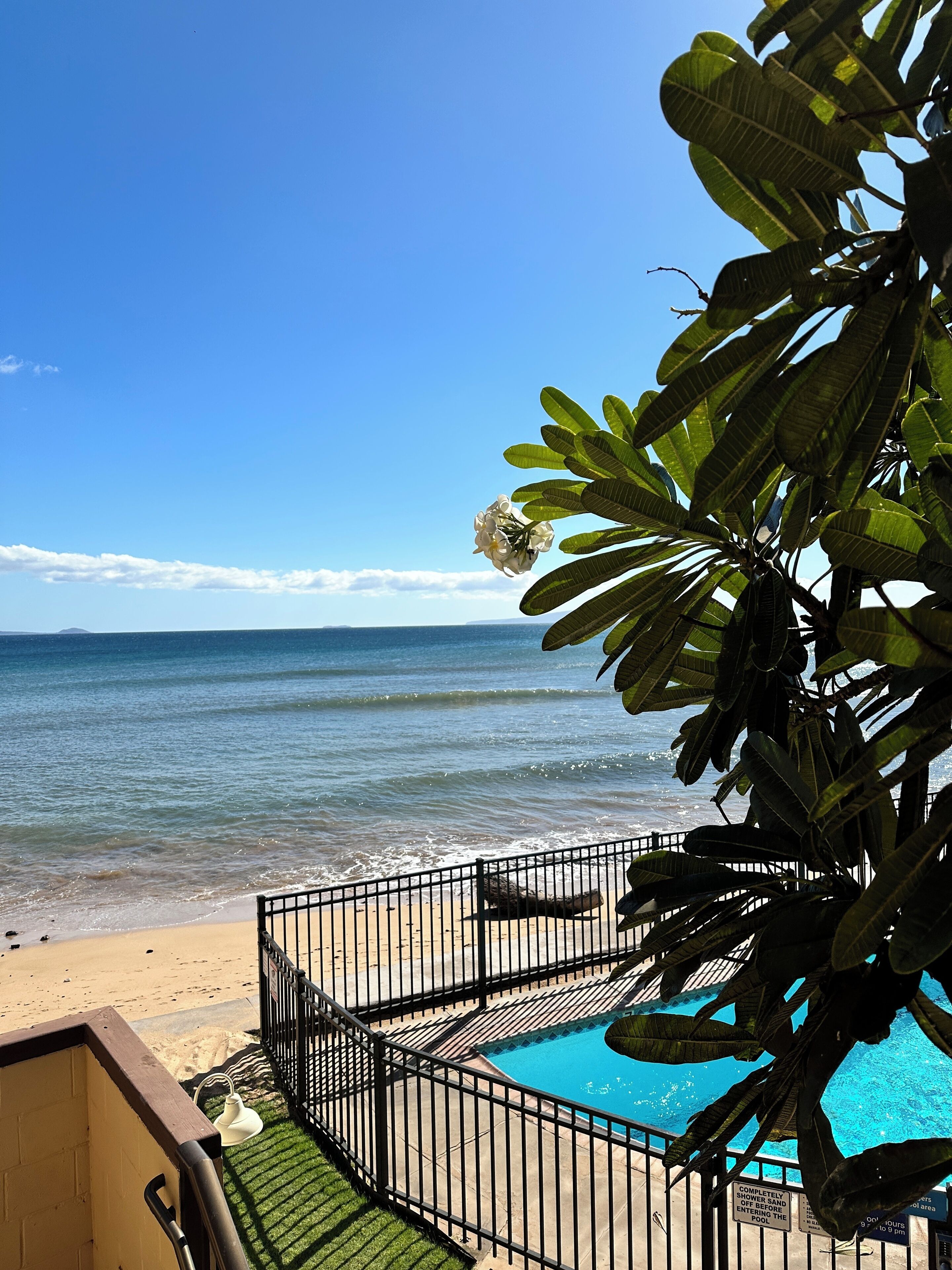 Plage, chaises longues, serviettes de plage