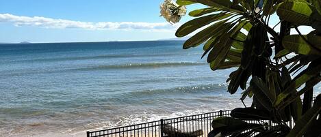 Plage, chaises longues, serviettes de plage