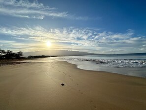 On the beach, sun loungers, beach towels