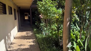 A covered corridor with a concrete floor, surrounded by lush greenery and a palm tree. - Cool 1BD Entire Condo On The Beach in Maalaea Harbor (Wailuku)