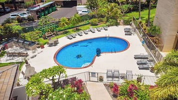 Una piscina de borde curvo, rodeada de sillas de descanso y plantas en macetas.