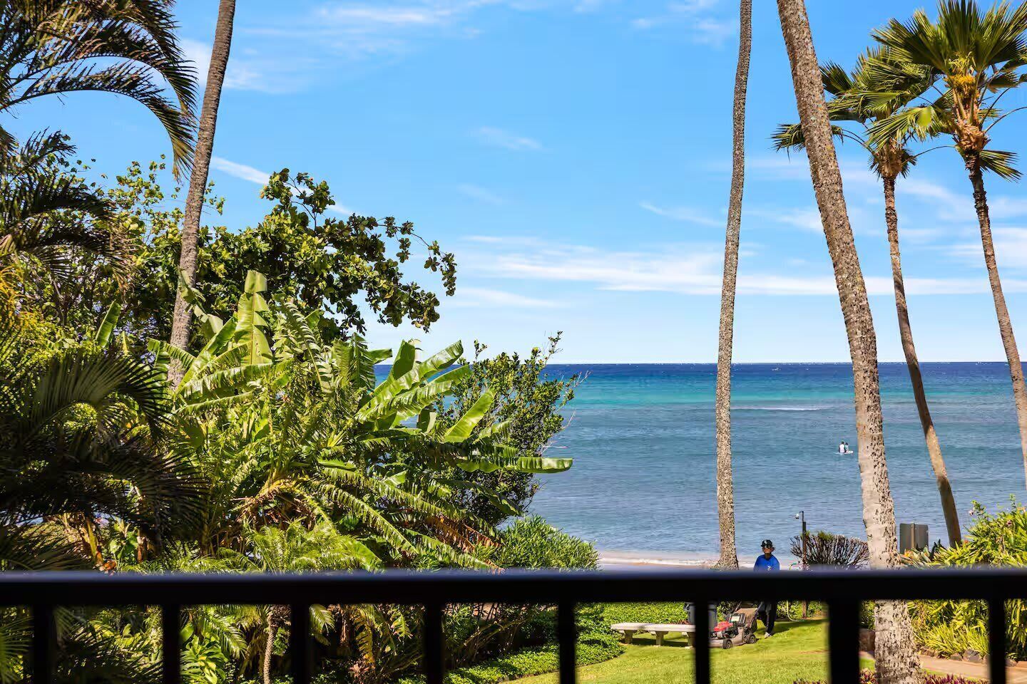 A tropical beach view with palm trees and a clear sky.