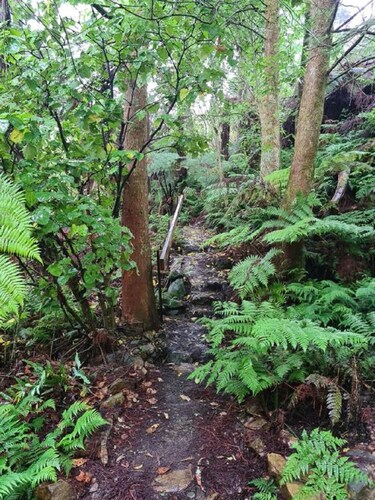 Ruru Retreat at the Sculpture Park