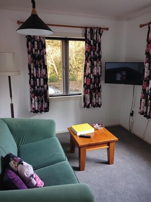 تلفزيون ذكي، مدفأة