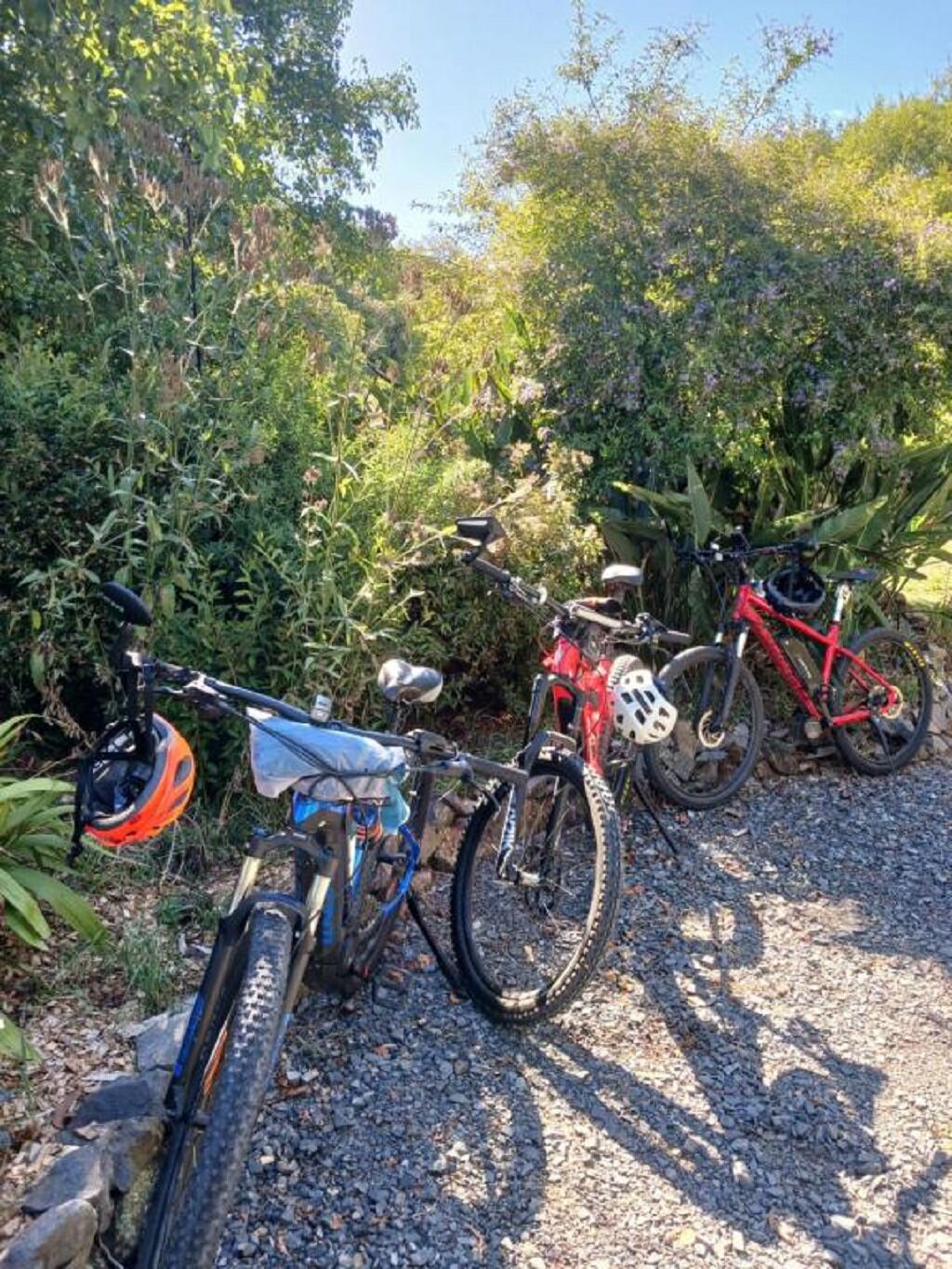 We have bike racks and around the area a number of bike trails