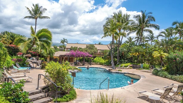 A pool area with lounge chairs, palm trees, and a waterfall. - Charming 1-bedroom condo in lovely Kihei with WiFi, AC (Kihei)