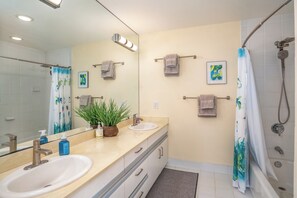 Shower, hair dryer, bidet, towels