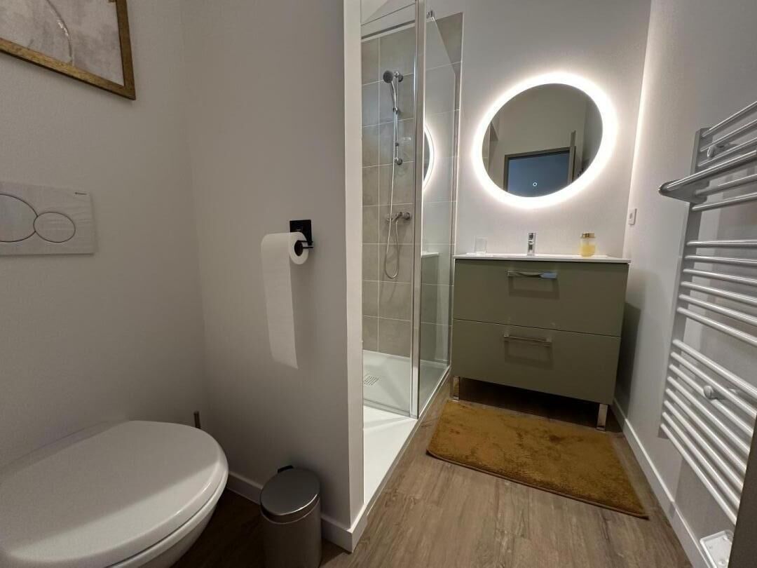 A modern bathroom with a toilet, a glass shower enclosure, a vanity with a mirror, and a towel rack.