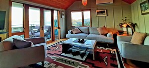 Smart TV, fireplace, books, music library