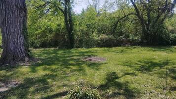 A grassy area with trees and a concrete path.