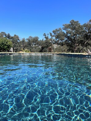 A clear pool with visible ripples and a tree-lined background. - Established Vacation Rental New to VRBO Wine Country Cottage, Couples Retreat (Clements)