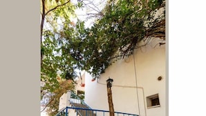 A white building with a blue staircase and a tree with green leaves. - Zeytin Pansiyon Palamutbükü (Datca)