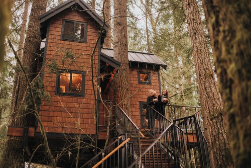 Iron & Vine Treehouse at Mount Rainier