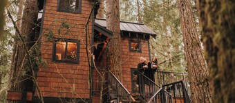 Iron & Vine Treehouse at Mount Rainier